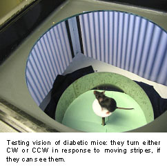 Mouse Assay Mouse Assay