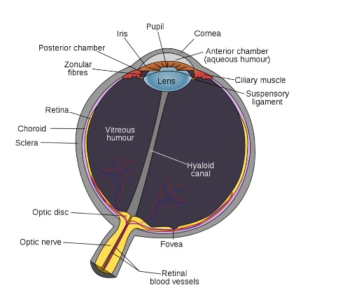 Eye Diagram